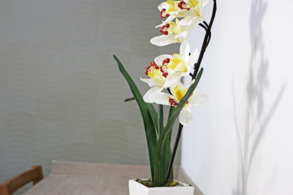 Pousada Shangrila リベイラン・プレト 部屋 写真